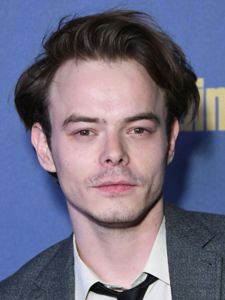 Charlie Heaton Wiki / Bio